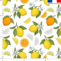 Agrumes - Fond blanc