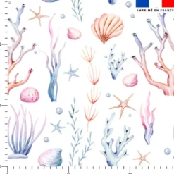 Algues et coquillages aquarelle - Fond blanc