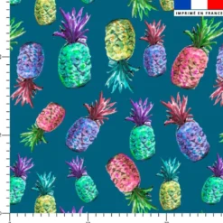 Ananas multicolore - Fond bleu - Création Cat&Colours