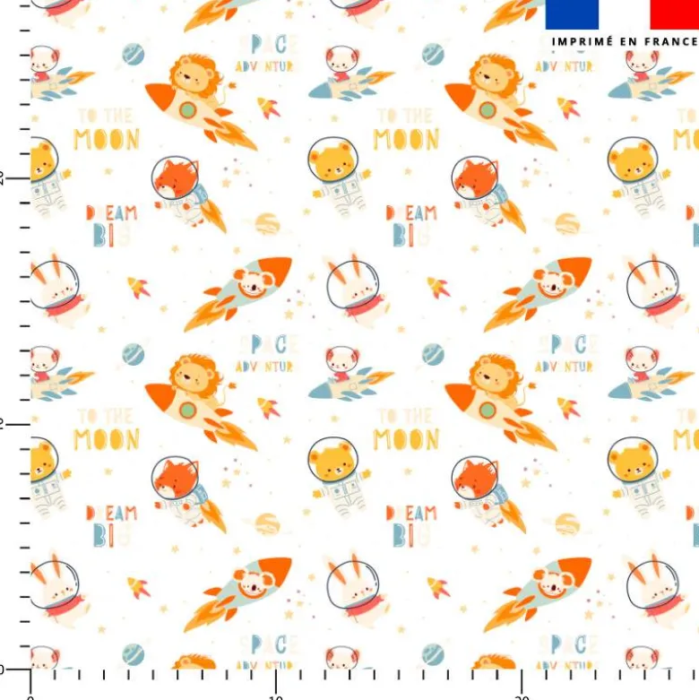 Animaux dans l'espace - Fond blanc