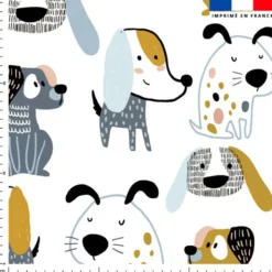 Animaux de compagnie - Fond blanc