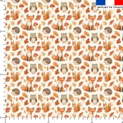 Animaux de la foret renard hérisson hiboux - Fond crème