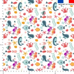 Animaux de l'océan et coquillages - Fond blanc