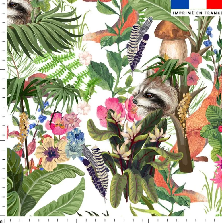 Animaux des bois - Fond blanc