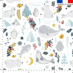 Animaux marins pôle nord - Fond blanc