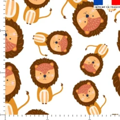 Animaux savane lion - Fond blanc