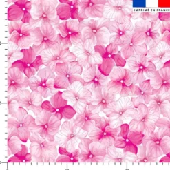 Aquarelle fleur fuchsia style vintage - Fond blanc