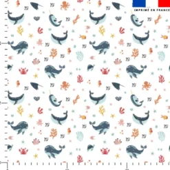 Baleines bleues et algues - Fond blanc