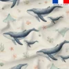 Baleines et baleineaux - Fond crème