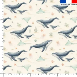 Baleines et baleineaux - Fond crème