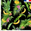 Banane et colibri - Fond noir