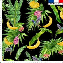 Banane et colibri - Fond noir