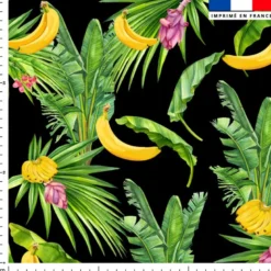 Banane et feuille de palmier - Fond noir