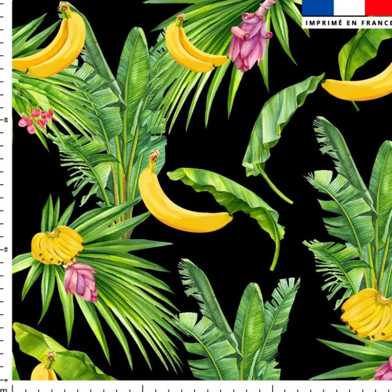 Banane et feuille de palmier - Fond noir