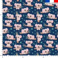 Bébé koala sur branche d'arbre - Fond bleu