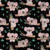 Bébé koala sur branche d'arbre - Fond noir