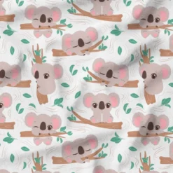 Bébé koala sur branche d'arbre - Fond blanc