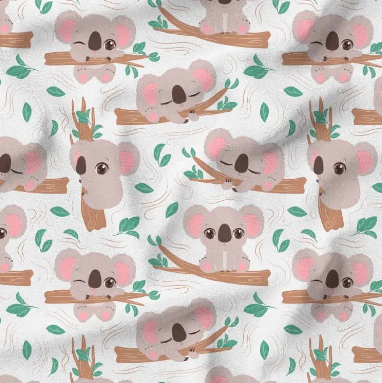 Bébé koala sur branche d'arbre - Fond blanc