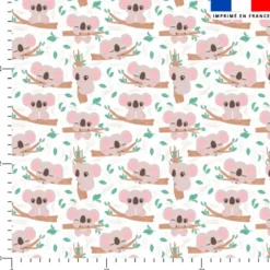 Bébé koala sur branche d'arbre - Fond blanc
