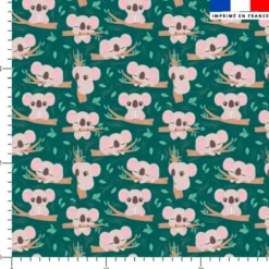 Bébé koala sur branche d'arbre - Fond vert