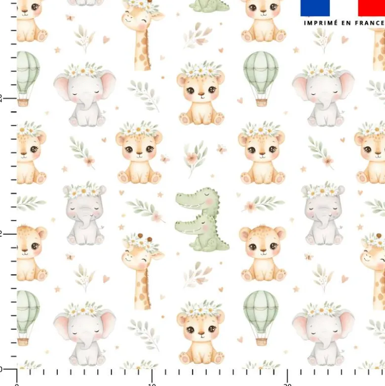 Bébés du safari - Fond blanc