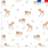 Biche des bois jolis - Fond blanc