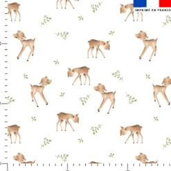 Biche des bois jolis - Fond blanc