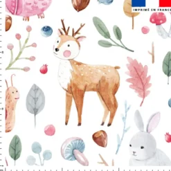 Biche lapin hérisson - Fond blanc