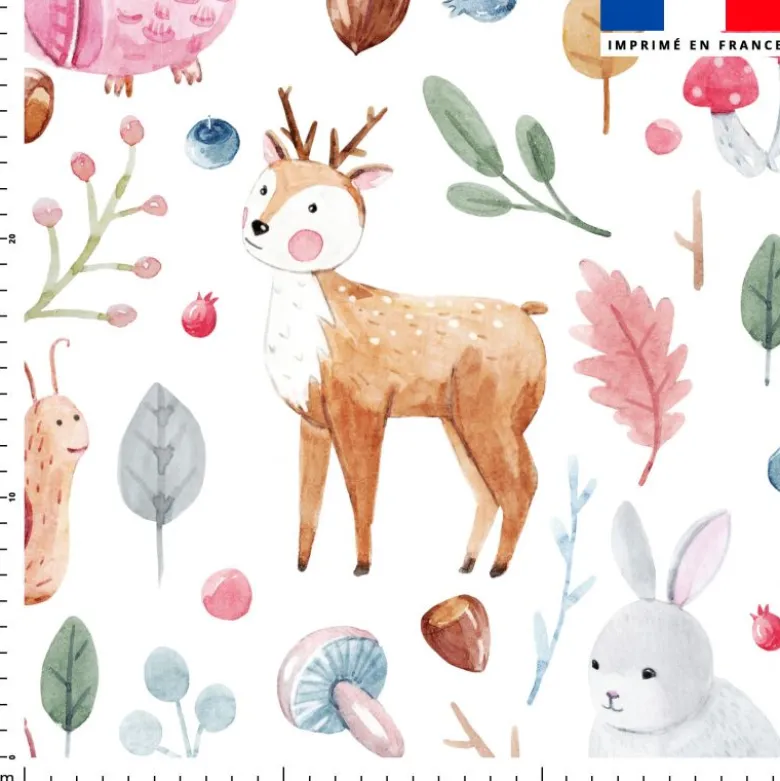 Biche lapin hérisson - Fond blanc
