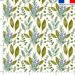 Botanique aromatique - Fond écru