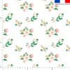 Bouquet de fleurs roses et blanches - Fond blanc