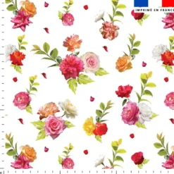 Bouquet de roses - Fond blanc