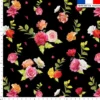 Bouquet de roses - Fond noir