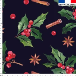 Branche de gui et épices de Noel - Fond noir