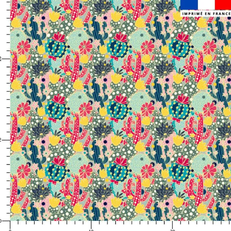 Cactus multicolores - Fond vert sauge