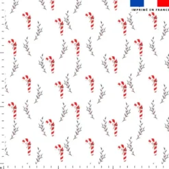 Canne à sucre de Noel - Fond blanc
