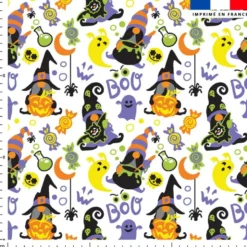 Chapeau de sorcière et fantome - Fond blanc