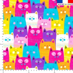 Chat souriant multicolore - Fond blanc