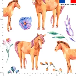 Cheval et fleur aquarelle - Fond blanc