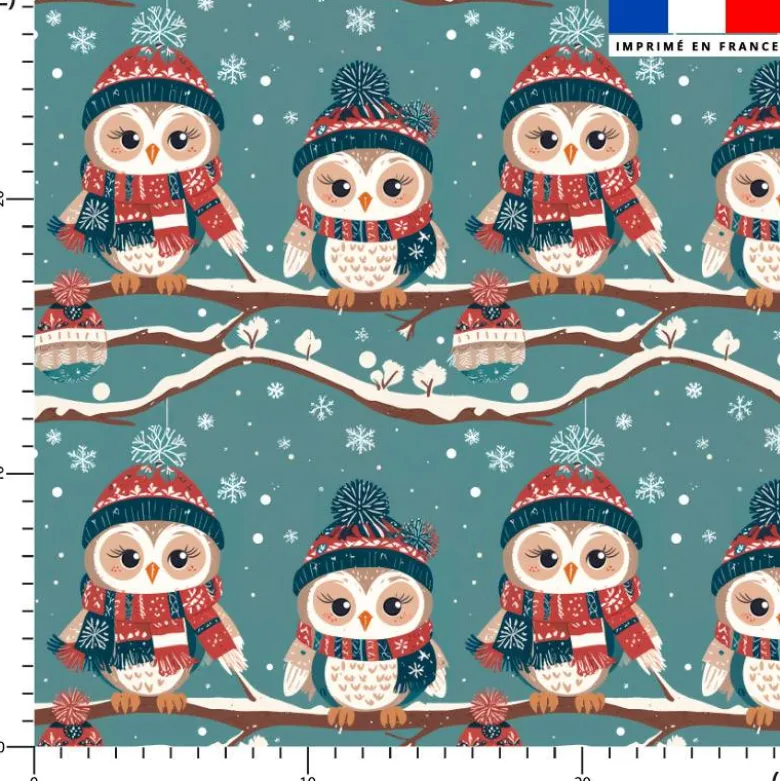Chouette sous la neige - Fond bleu