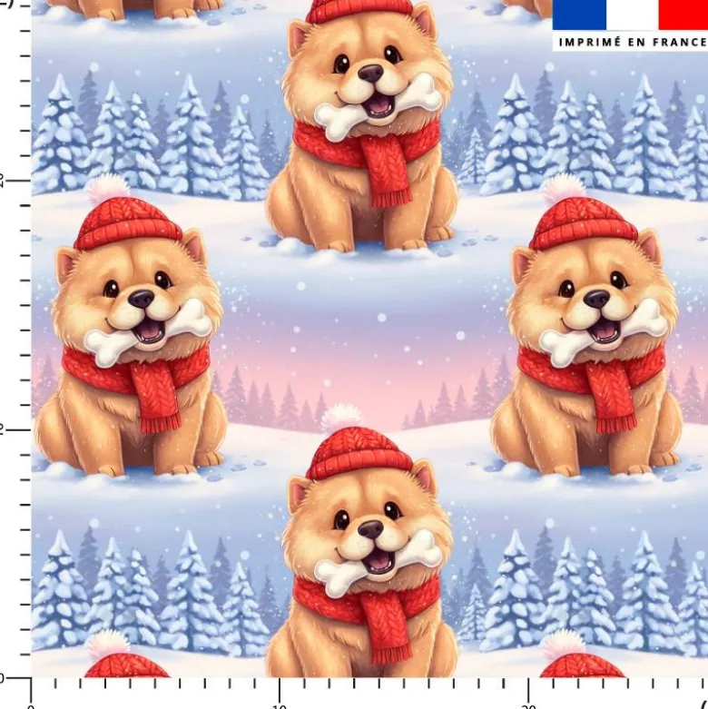 Chow-chow hiver glacé - Fond bleu et rose