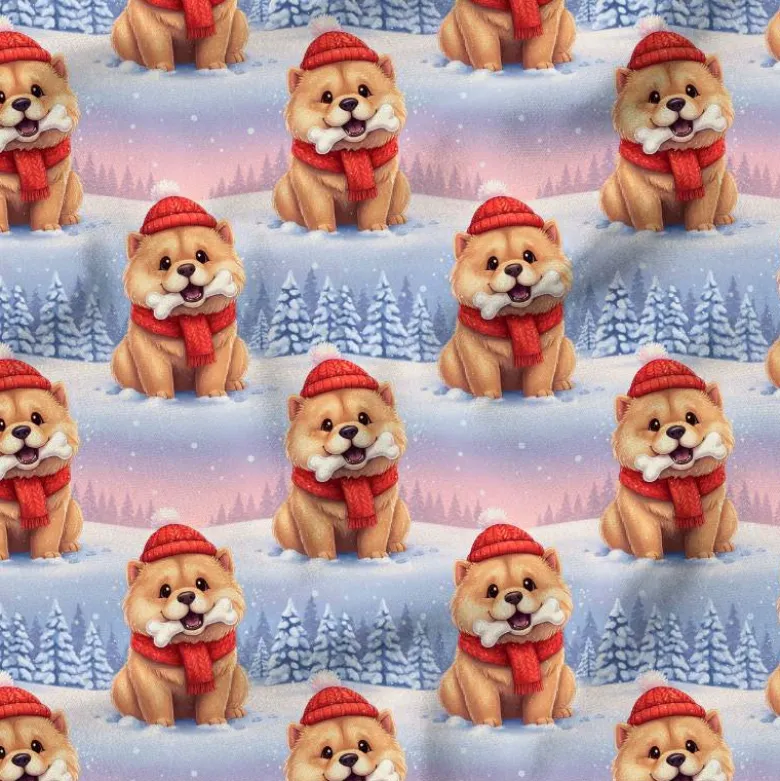 Chow-chow hiver glacé - Fond bleu et rose