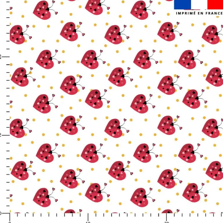 Coccinelle coeurs - Fond blanc