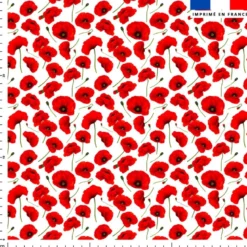 Coquelicot - Fond blanc