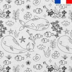 Coton à colorier motif animaux marins pôle nord baleine