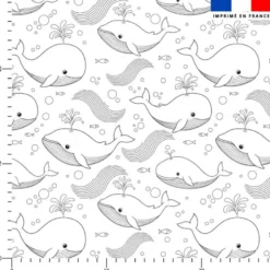 Coton à colorier motif baleine et poisson