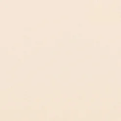 coupon - Coupon 90cm - Burlington infroissable grande largeur 280cm écru