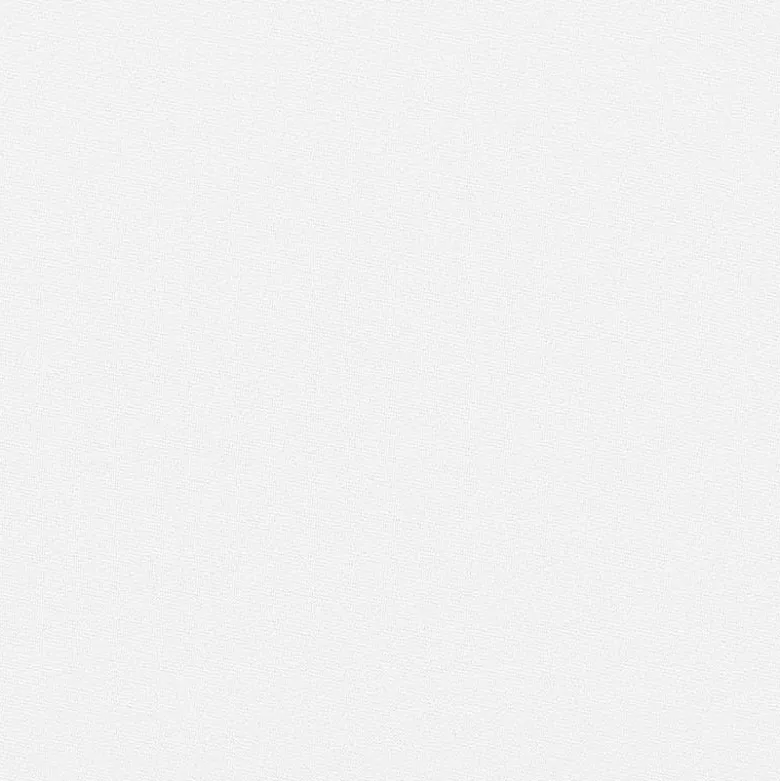 coupon - Coupon 90cm - Burlington infroissable grande largeur 280cm blanc