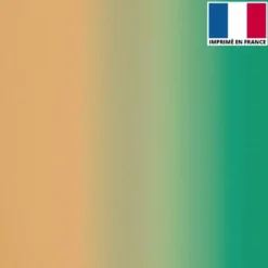 coupon - Coupon Défaut impression 400cm - Lycra imprimé dégradé chair et vert - Lycra 184 gr/m² - 147 cm