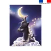 Coupon couverture imprimé chat sirius - Création Stillistic